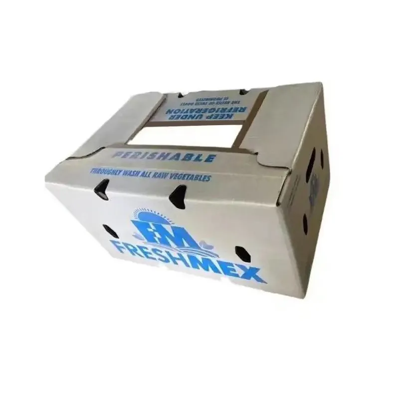 Kothak kertas lilin biodegradis